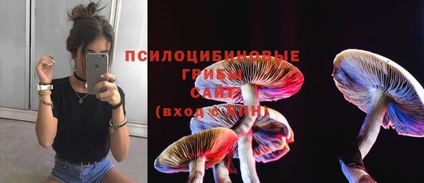 бутират Баксан