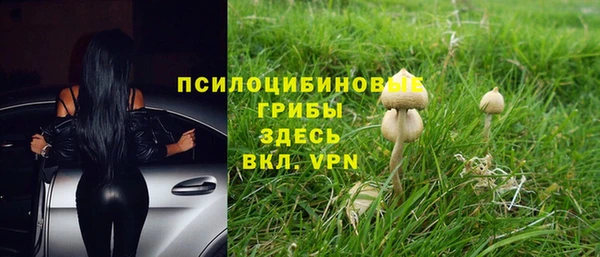 прущий лед Балахна