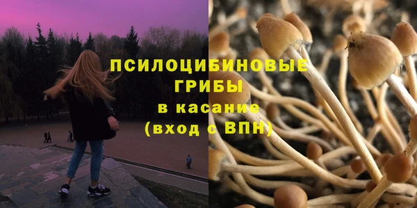бутират Баксан