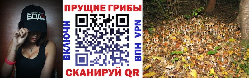 что такое наркотик площадка наркотические препараты Псилоцибиновые грибы ЛСД Белогорск